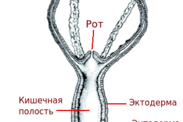 Кракен рабочий сайт