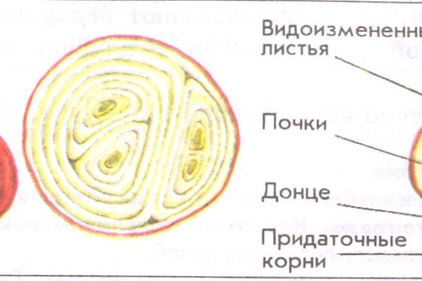 Купить наркотики через кракен